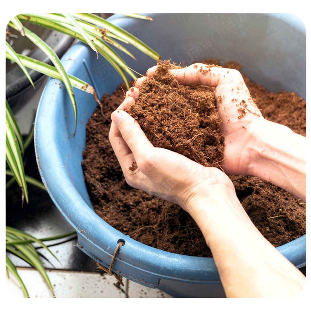 อิฐปุ๋ยหมักมะพร้าวอัดแน่น ดูดซ - Substrate Coconut Fiber บทวิจารณ์และราคา