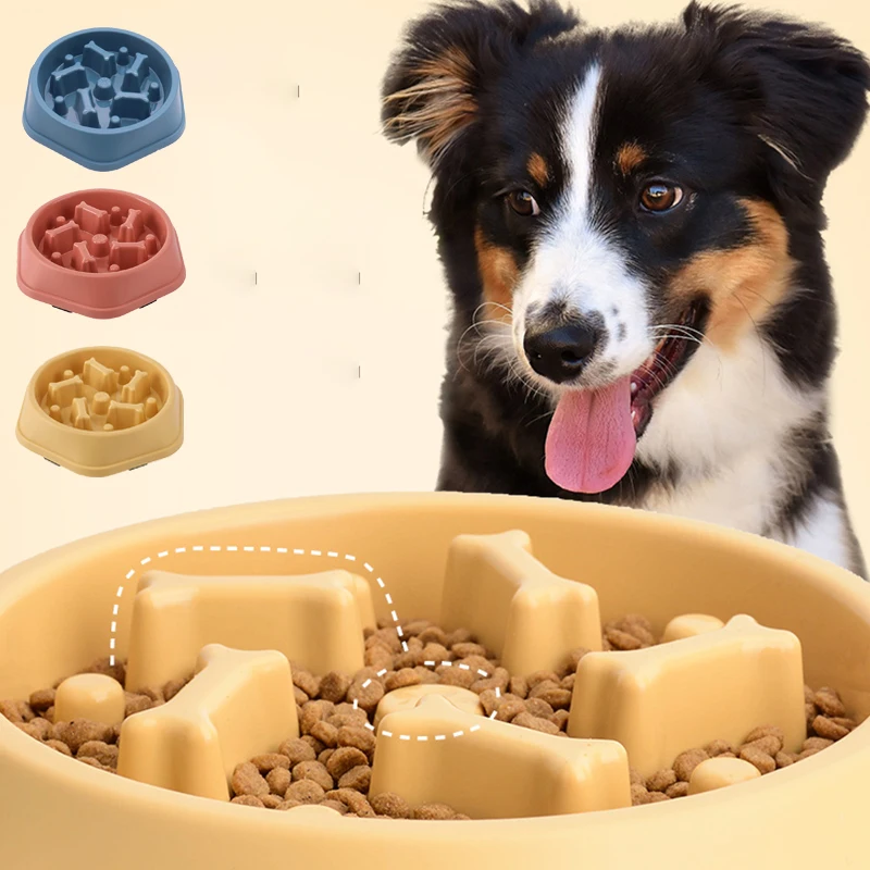 ชามอาหารสุนัขแบบกินช้า ชามกันล - Royal Canin Food Medium บทวิจารณ์และราคา